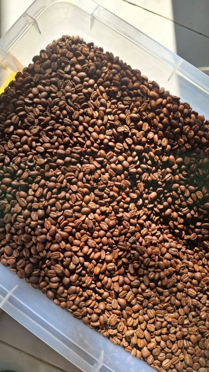 Roasted coffee beans dalam wadah penyimpanan